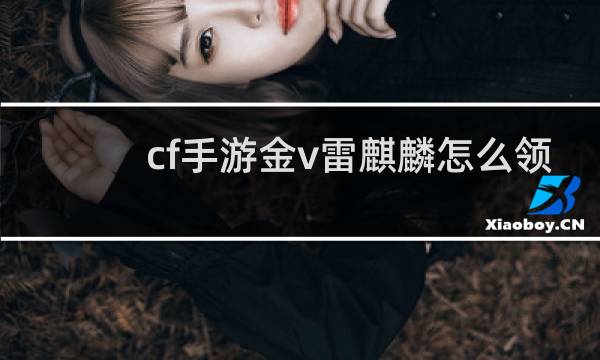 cf手游金v雷麒麟怎么领