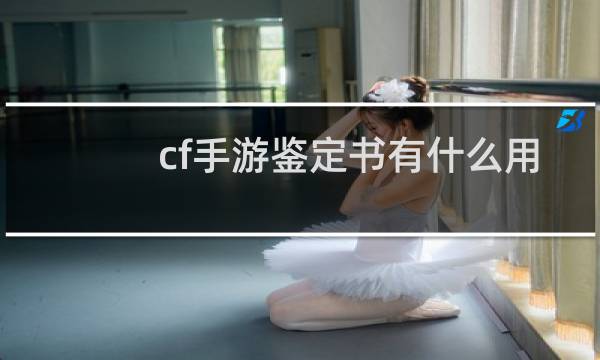 cf手游鉴定书有什么用