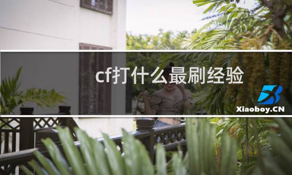 cf打什么最刷经验