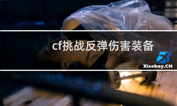 cf挑战反弹伤害装备