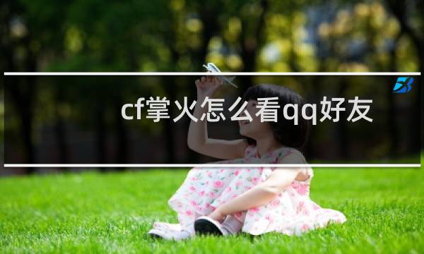 cf掌火怎么看qq好友