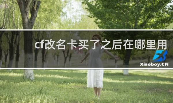 cf改名卡买了之后在哪里用