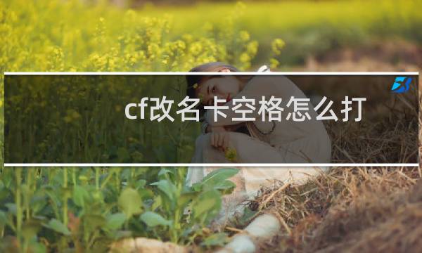 cf改名卡空格怎么打