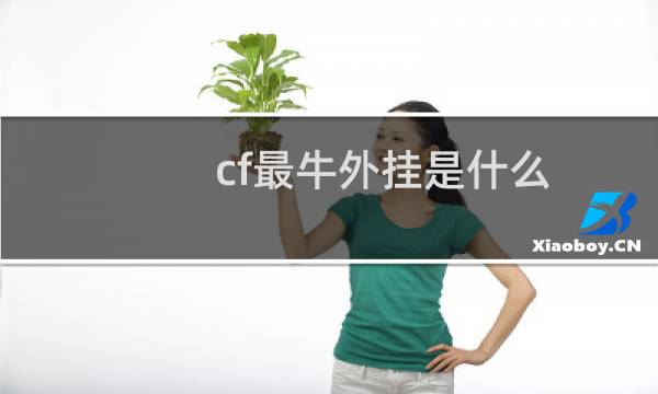 cf最牛外挂是什么