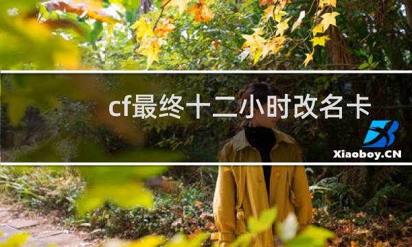 cf最终十二小时改名卡