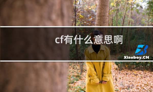 cf有什么意思啊