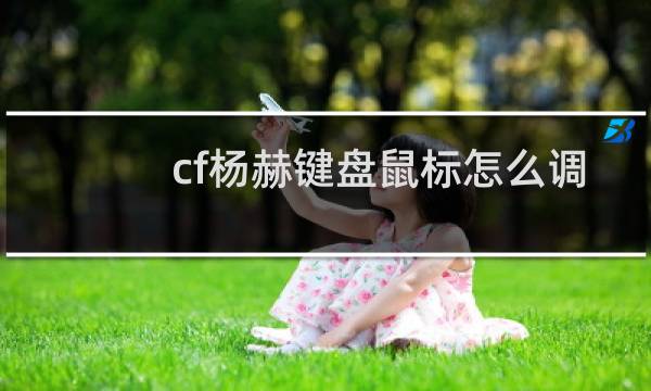 cf杨赫键盘鼠标怎么调