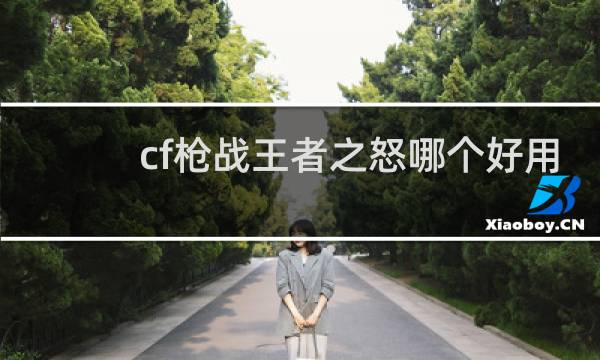 cf枪战王者之怒哪个好用