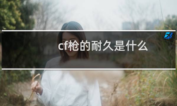 cf枪的耐久是什么