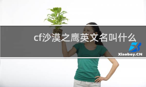 cf沙漠之鹰英文名叫什么