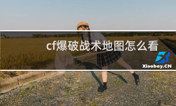 cf爆破战术地图怎么看