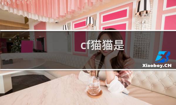 cf猫猫是