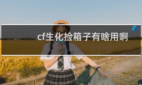 cf生化捡箱子有啥用啊