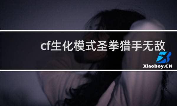 cf生化模式圣拳猎手无敌