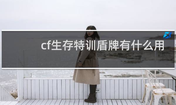 cf生存特训盾牌有什么用