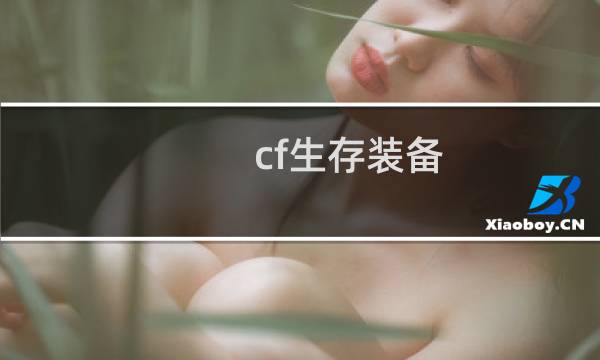 cf生存装备