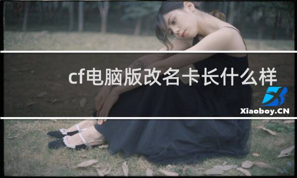 cf电脑版改名卡长什么样