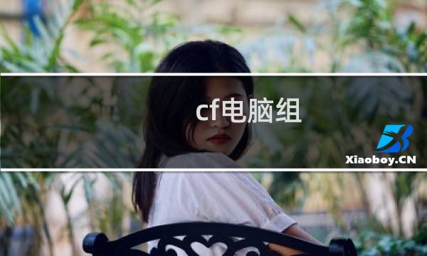 cf电脑组