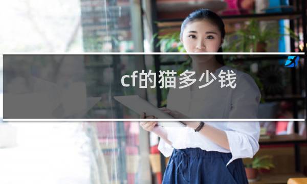cf的猫多少钱