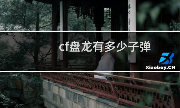 cf盘龙有多少子弹