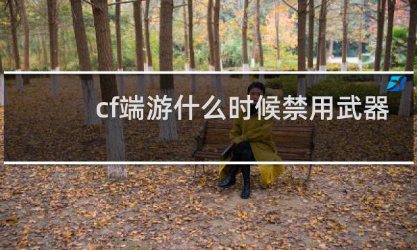 cf端游什么时候禁用武器
