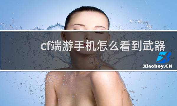 cf端游手机怎么看到武器