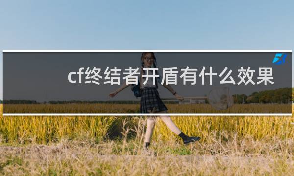 cf终结者开盾有什么效果