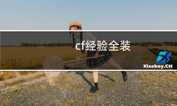 cf经验全装