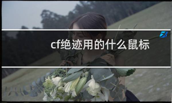 cf绝迹用的什么鼠标