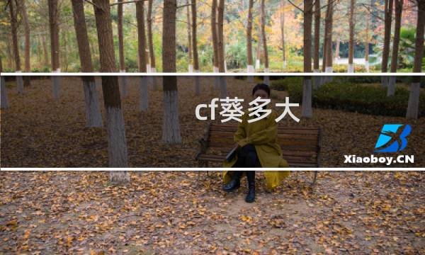 cf葵多大