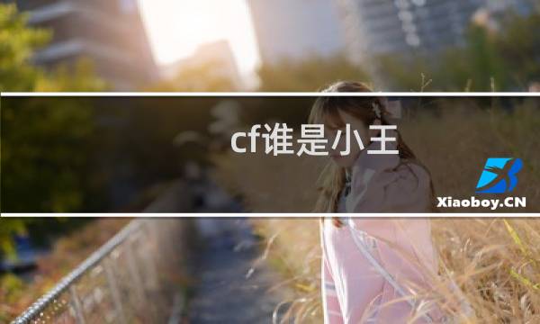 cf谁是小王