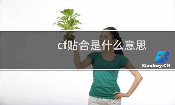 cf贴合是什么意思