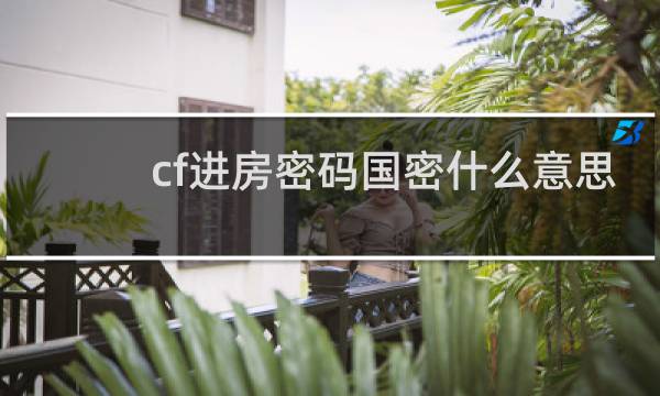 cf进房密码国密什么意思