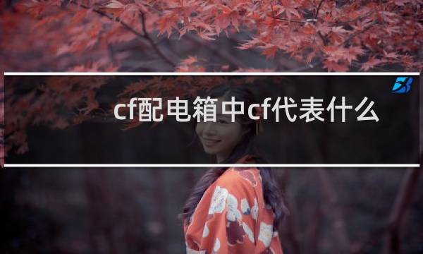 cf配电箱中cf代表什么
