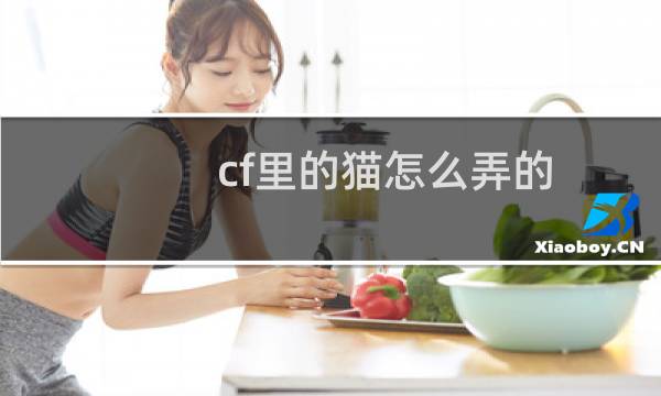 cf里的猫怎么弄的