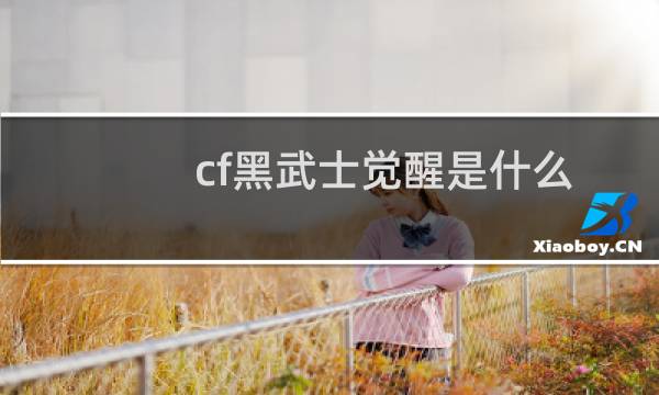 cf黑武士觉醒是什么