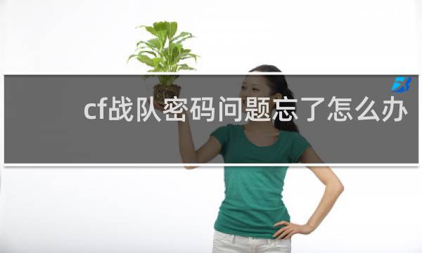 cf战队密码问题忘了怎么办