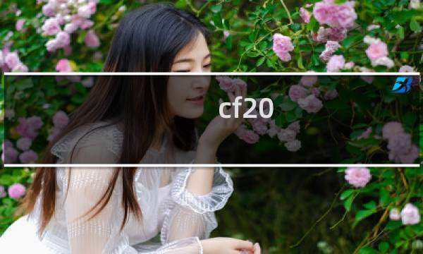 cf20-3码什么意思