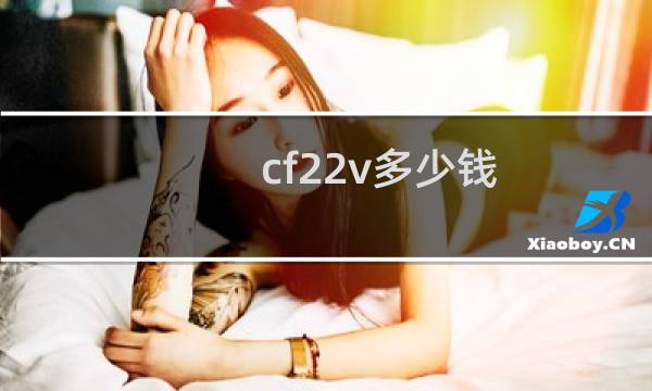 cf22v多少钱