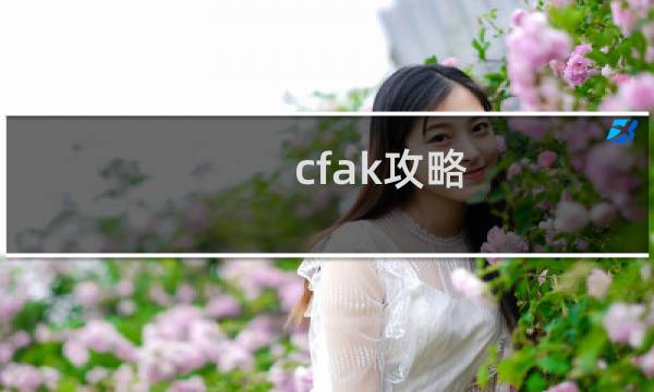 cfak攻略
