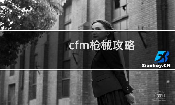 cfm枪械攻略