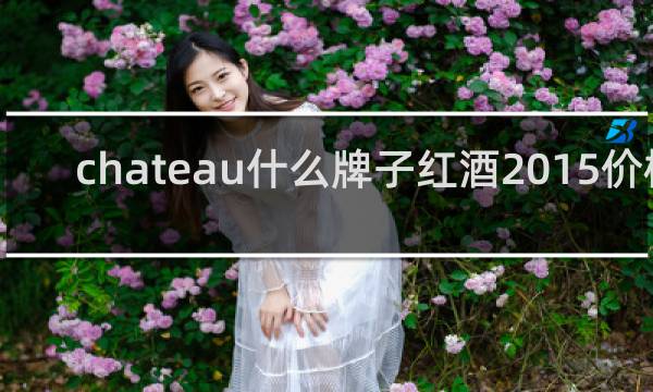 chateau什么牌子红酒2015价格