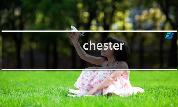 chester 攻略