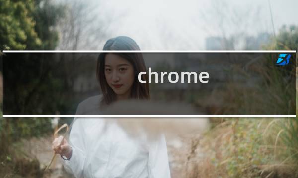 chrome 功能介绍
