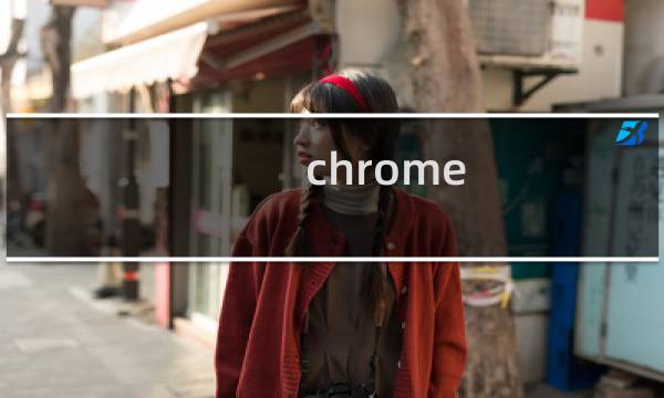 chrome 功能