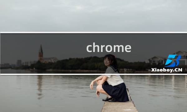 chrome 历史插件