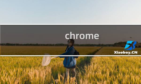 chrome 吧