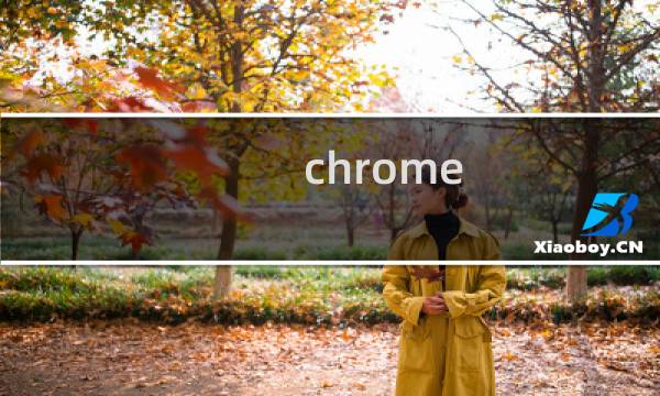 chrome 如何保存密码