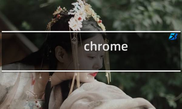 chrome 开发者中文版