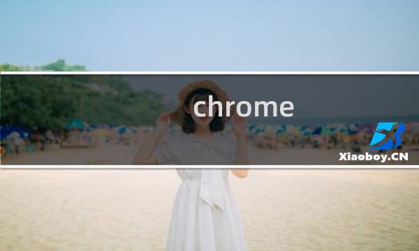 chrome 新手教程
